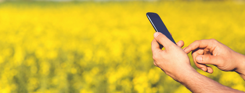 100 Mobile Facts Mobile Marketing Facts
